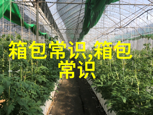 最近流行什么样的指甲