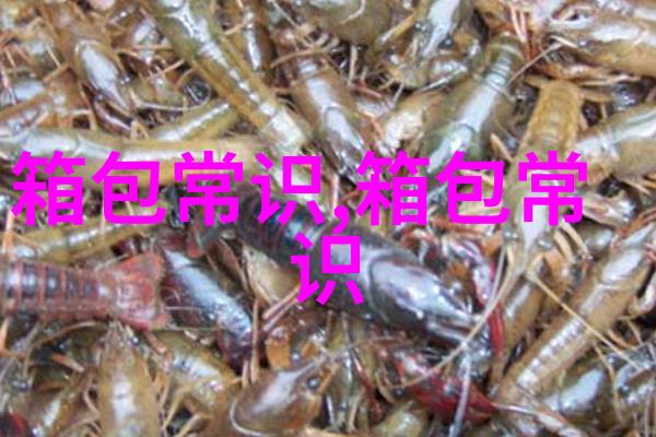 科普求婚戒指和结婚戒指的区别及戴法