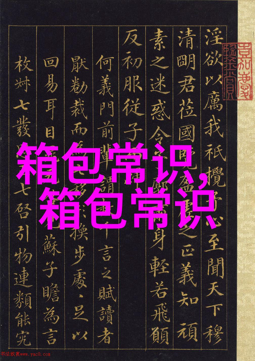 淑女的衣服配黑色的包包好看么