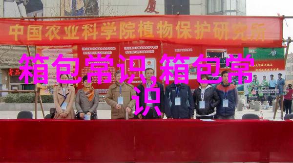 关于底特律治安和底特律大学的情况