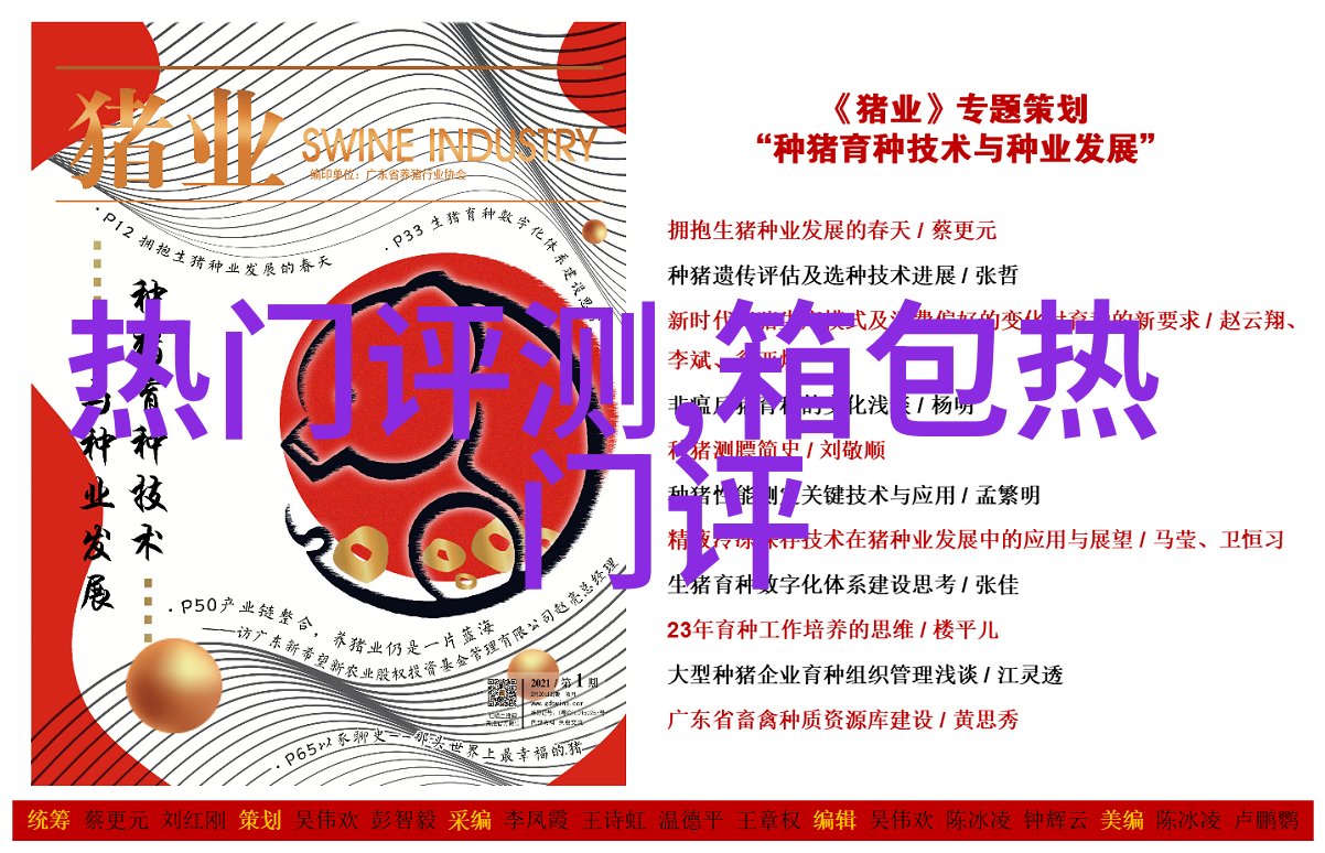 流行扎什么马尾发型(流行扎什么马尾发型好看)