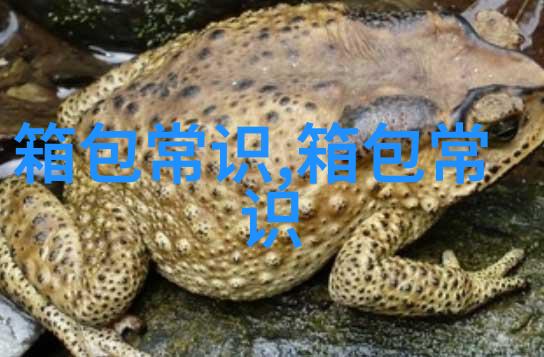 有一种很小的珠子并排穿成的手链叫什么啊